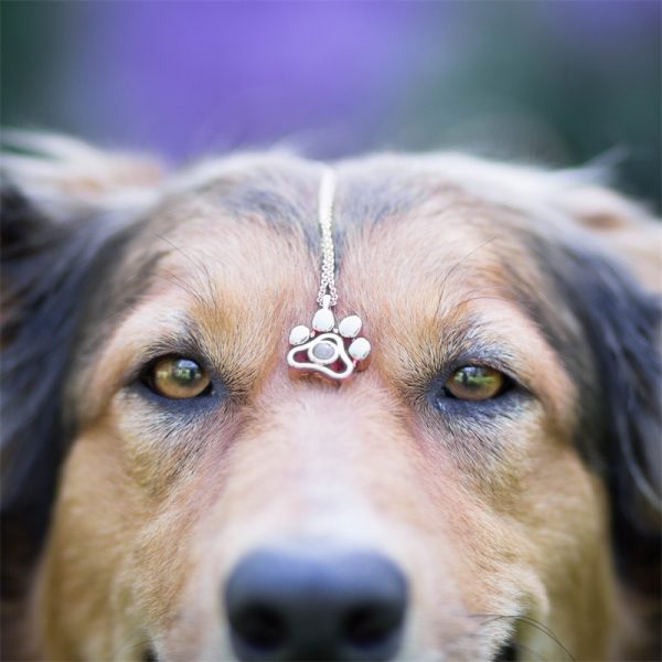 a dog's head with a paw necklace