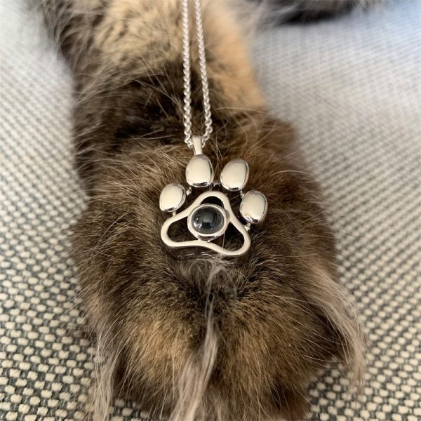 a paw necklace on a dog's foot
