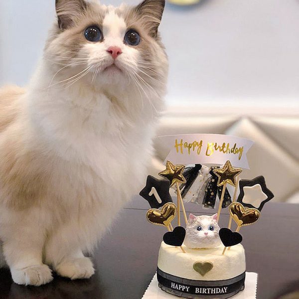 a cat and a cake with pet portrait cake topper
