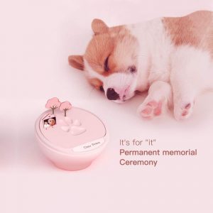 a pink paw print keepsake kit and a lying dog